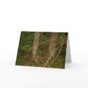Ross Forest “EarthDayContest2007” greeting cards by eelkat Ross Forest “EarthDayContest2007” greeting cards