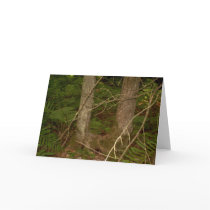 Ross Forest “EarthDayContest2007” greeting cards