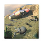 Roswell UFO Crash Magnet