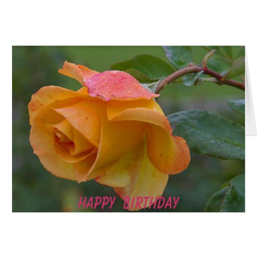 rose birthday card