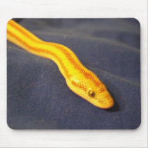 Rosy Boa mousepads