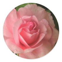 Rosy Pink stickers