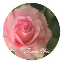 Rosy Pink - Thank You stickers