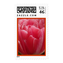 Rosy Pink Tulips Postage Stamps