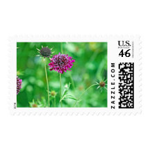 Rosy Red Postage