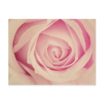 rosy red postcard