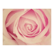 rosy red print