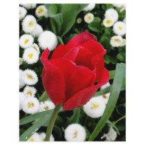 Rosy Red Tulip flyers