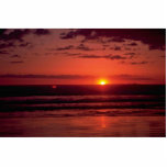 Rosy Sunset Over Sea Photo Cut Out