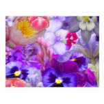 Rotary Garden Postcards