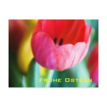 Rote Tulpen • Oster-Postkarte postcards by SabineStGreetings Rote Tulpen • Oster-Postkarte postcards