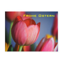 Rote Tulpen • Oster-Postkarte postcards by SabineStGreetings Rote Tulpen • Oster-Postkarte postcards