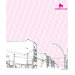 Ladies Baby Doll (Fitted)