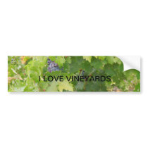 Rotta Dry Farmed Grapes on the Vine Bumper Sticker