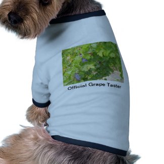 Rotta Dry Farmed Grapes on the Vine Pet Tee