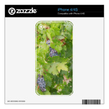 Rotta Dry Farmed Grapes on the Vine iPhone 4 Decals