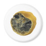 Rotten lemon refrigerator magnets