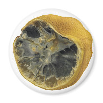 Rotten lemon magnets by Eggznbeenz Rotten lemon magnets