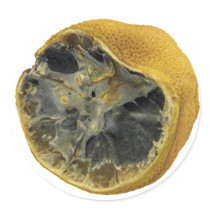 Rotten lemon stickers by Eggznbeenz Rotten lemon stickers