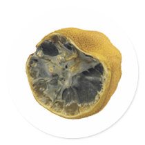 Rotten lemon stickers by Eggznbeenz Rotten lemon stickers