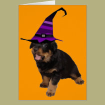 Rotten Witch cards