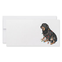 Rottie Christmas booboo photo cards