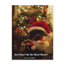 Rottie xmas post card postcards by AFRAGIRL Rottie xmas post card postcards