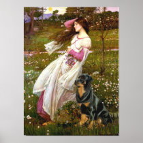 Rottweiler (#5) - Windflowers Posters