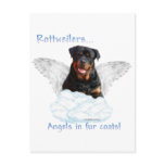 Rottweiler Angel Postcard