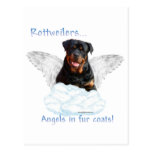 Rottweiler Angel Postcard