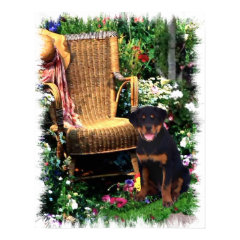 Rottweiler Art Print print