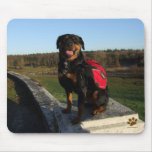 Rottweiler Backpacking Mousepad