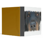 Rottweiler Binder