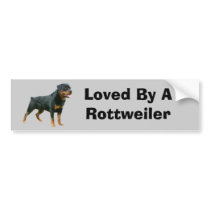 Rottweiler Bumper Sticker bumper stickers by normagolden Rottweiler Bumper Sticker bumper stickers