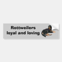 Rottweiler Bumper Sticker