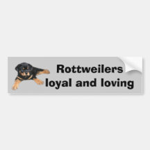 Rottweiler Bumper Sticker
