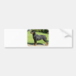 Rottweiler Bumper Sticker