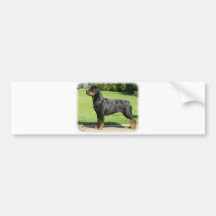 Rottweiler Bumper Sticker