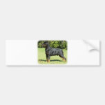 Rottweiler Bumper Stickers