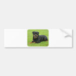 Rottweiler Bumper Stickers