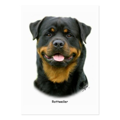 Rottweiler Business Cards by TraffordPhotos