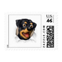 Rottweiler Busting Out - Customized postage by cartoondogs Rottweiler Busting Out - Customized postage