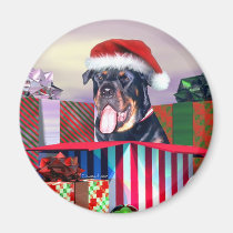 Rottweiler Christmas Surprise magnets