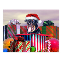 Rottweiler Christmas Surprise postcards