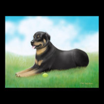 Rottweiler Dog and His Ball posters