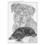 Rottweiler Dog Drawing by Kelli Swan cards