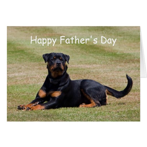 rottweiler-dog-happy-father-s-day-greetings-card-zazzle