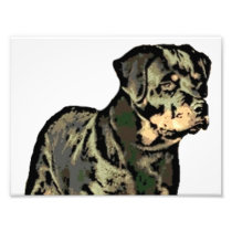 Rottweiler dog art photo