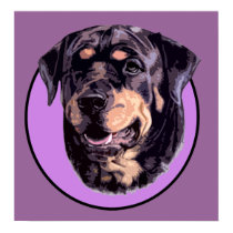 ROTTWEILER DOG PINK posters