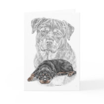 Rottweiler Dog Portrait Greeting Cards